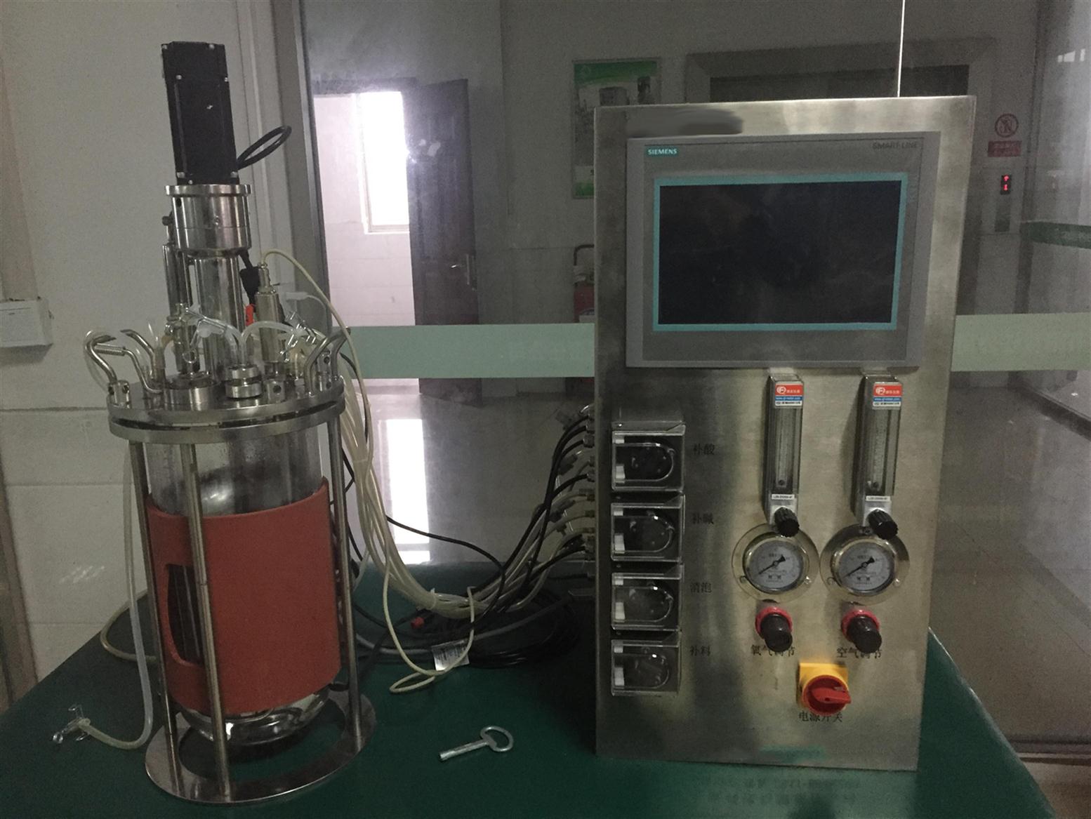 10L玻璃发酵罐